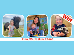 Win a Gold Season Ticket and Unlimited Visits