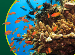 Win a Holiday to Australia