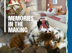 Win a Mini-Break to Plymouth This Summer