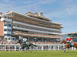 Win a Newbury Racecourse Ticket Bundle