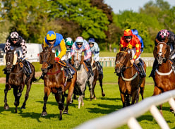 Win a Pair of Annual Racing Memberships