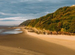 Win a Place on a Coastal Foraging Course for Dinner on the Beach for 2