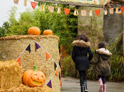 Win a Spooktacular 2 Night Stay at Maldron Hotel Manchester City Centre and a Family Ticket to Chester Zoo