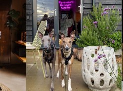 Win a Stay with Your Dog at Bethnal&Bec Luxury Stays