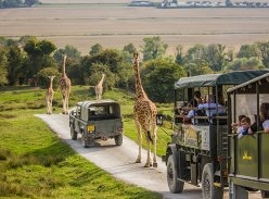 Win a two-night safari in the UK