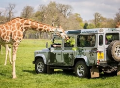 Win a VIP Experience at Woburn Safari Park