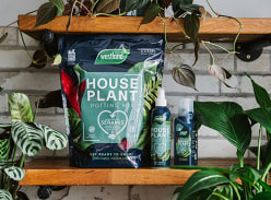 Win a Westland Houseplant Bundle