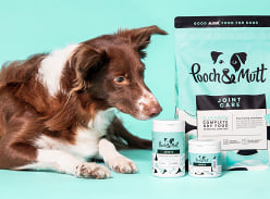 Win a Year's Worth of Premium Dog Food for Your 4-Legged Friend