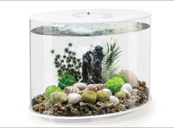 Win biOrb LOOP 30 MCR Aquarium