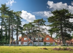 Win a Break in the New Forest
