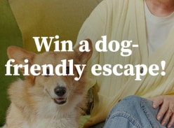 Win a Dog-Friendly Escape