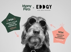 Win EDDGY Collar Lead and Harness Set of Your Choice, and Exclusive Photoshoot