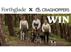 Win a Forthglade Bundle of Wet and Dry Food and Tasty Treats
