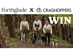 Win a Forthglade Bundle of Wet and Dry Food and Tasty Treats