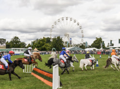 Win the Game Fair Prize Bundle