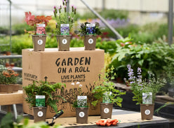 Win a Garden on a Roll Border Plan with Plants