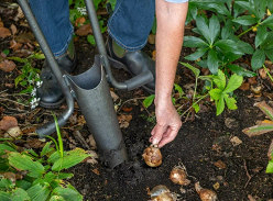 Win a Gardening Bundle from Crocus