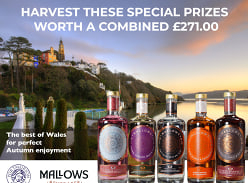 Win a Gin Bundle and Entrance to Portmereion