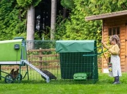 Win a Green Omlet Eglu Go up Chicken Coop