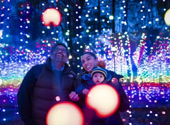 Win a Magical Gold Christmas Experience at Stockeld Park