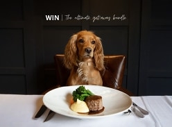 Win Night Weekday Stay at Rothay Manor and More Doggy Goodies
