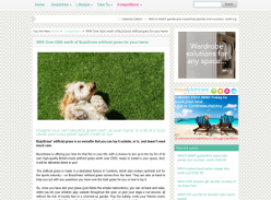 Win Over £500 worth of BuzzGrass artificial grass for your home