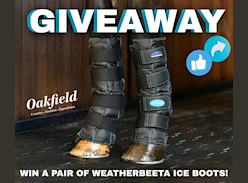 Win a Pair of Weatherbeeta Ice Boots