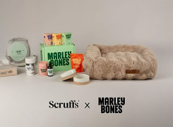 Win a Scruffs Bundle