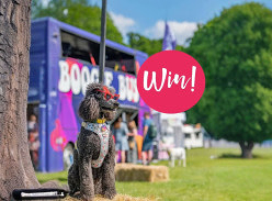 Win a Stay at the Montagu Arms and Dogstival Tickets