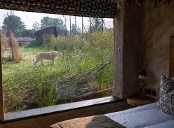 Win a Stay in a White Lion Lodge