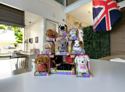 Win the Cutest Pitter Patter Pets Dog Bundle Worth over £200