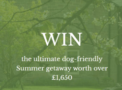 Win the Ultimate Dog-Friendly Summer Getaway Worth over £1650