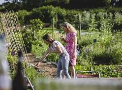 Win The Ultimate Riverford Weekend
