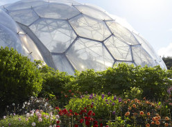 Win Tickets to the Eden Project & Exclusive Franchi Seeds Prize