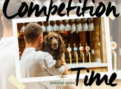 Win a Trip to One of Our Dog-Friendly Hotels
