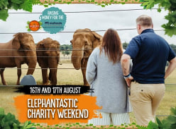 Win a VIP Safari Getaway