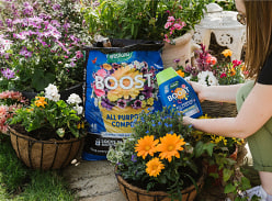Win a Westland Summer Gardening Bundle