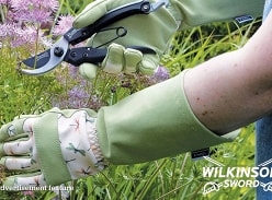 Win a Wilkinson Sword Gardening Tool Bundle