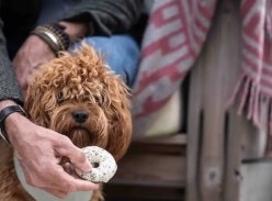 Win a YEAR'S supply of luxury Ruffingtons dog treats
