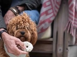 Win a YEAR'S supply of luxury Ruffingtons dog treats